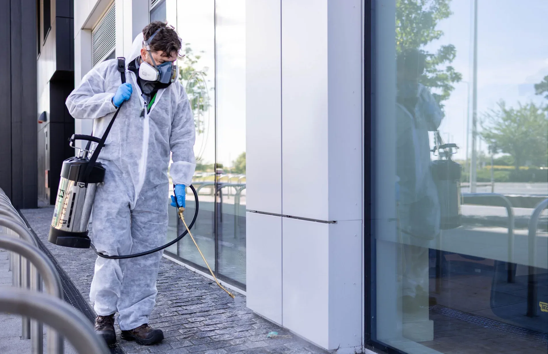 Pest Control Services