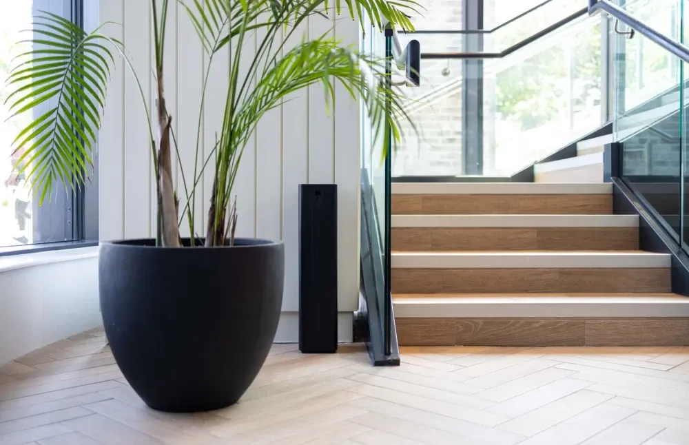 Enhance Your Space with Scenting by KeyGreen